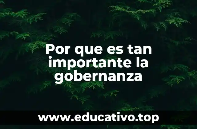 Por que es tan importante la gobernanza