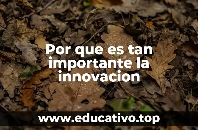Por que es tan importante la innovacion
