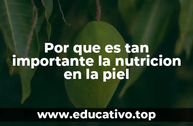 Por que es tan importante la nutricion en la piel