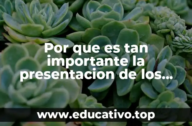 Por que es tan importante la presentacion de los platillos