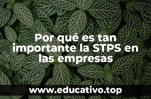 Por qué es tan importante la STPS en las empresas