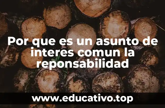 Por que es un asunto de interes comun la reponsabilidad