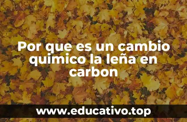 La transformación de la madera y su evolución hacia el carbón