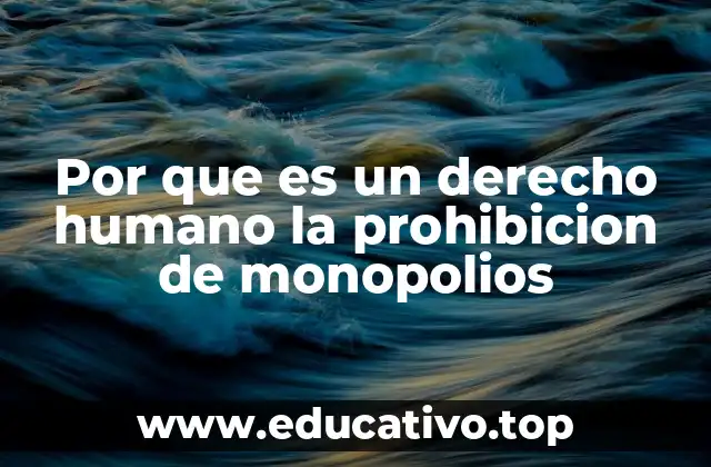 Por que es un derecho humano la prohibicion de monopolios