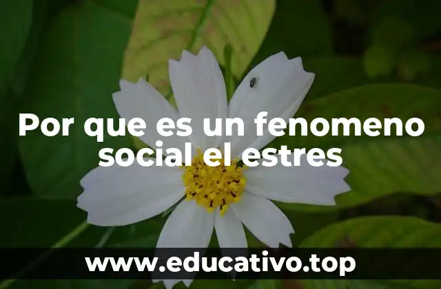 Por que es un fenomeno social el estres