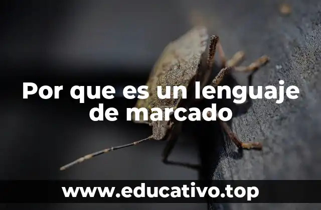 Por que es un lenguaje de marcado