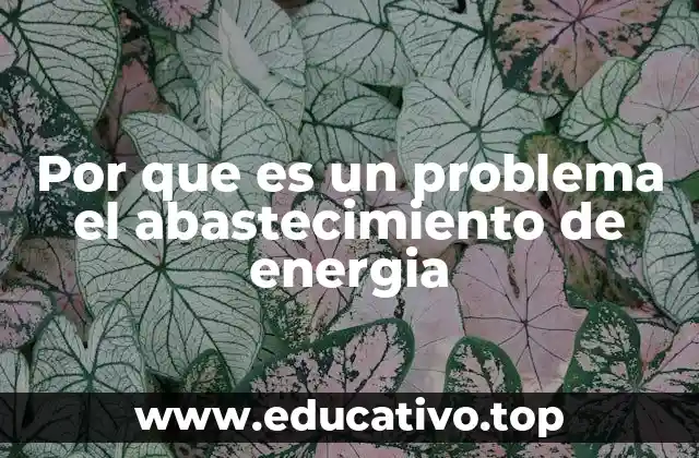 Por que es un problema el abastecimiento de energia