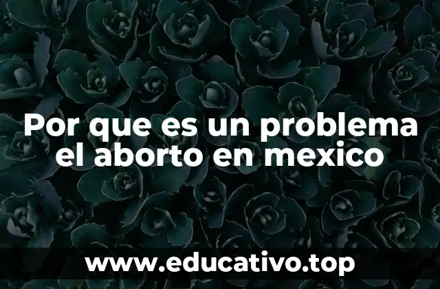 Por que es un problema el aborto en mexico