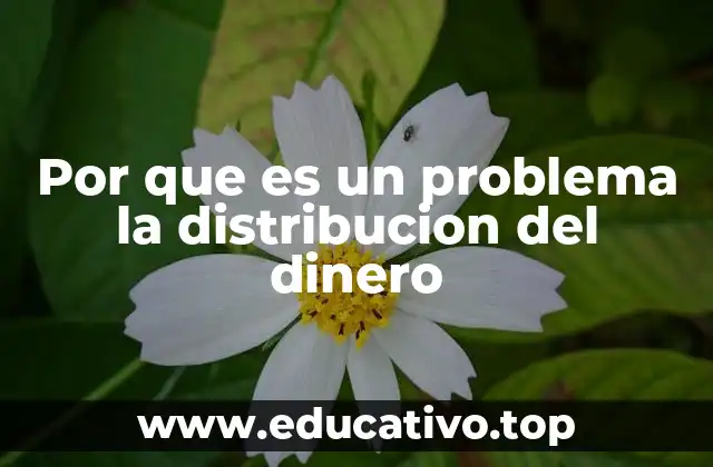 Por que es un problema la distribucion del dinero