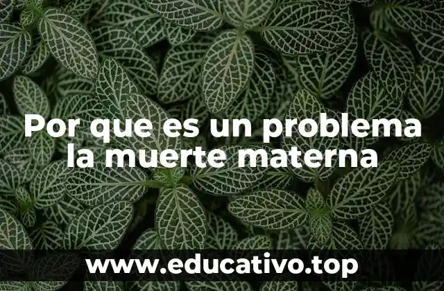 Por que es un problema la muerte materna