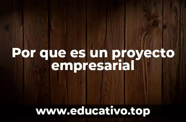 Por que es un proyecto empresarial