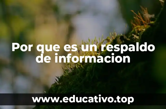 Por que es un respaldo de informacion