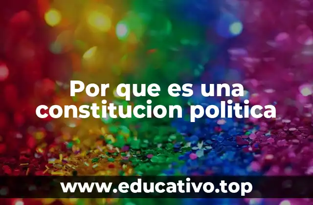 Por que es una constitucion politica