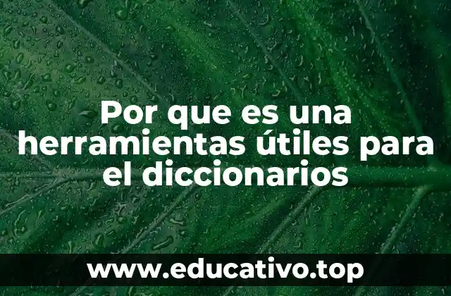 Por que es una herramientas útiles para el diccionarios