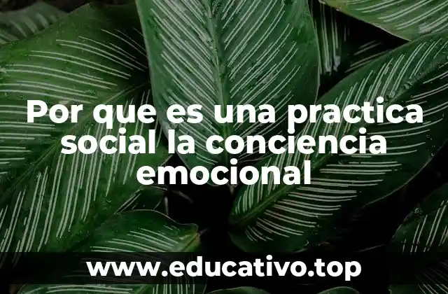Por que es una practica social la conciencia emocional