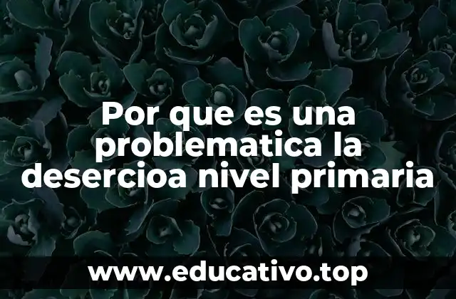 Por que es una problematica la desercioa nivel primaria