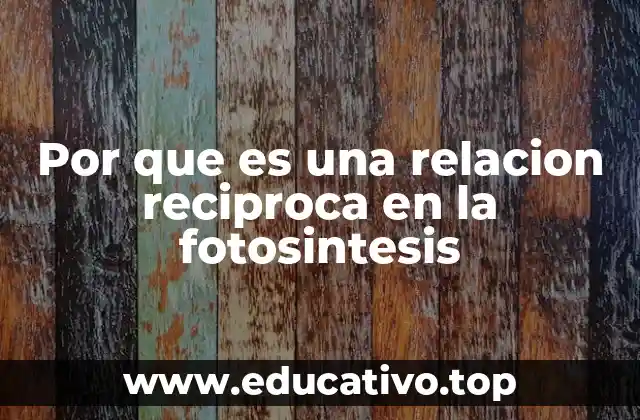 Por que es una relacion reciproca en la fotosintesis
