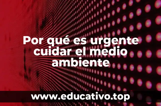 Por qué es urgente cuidar el medio ambiente