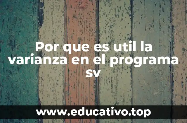Por que es util la varianza en el programa sv