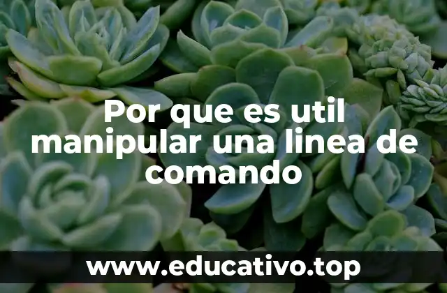 Por que es util manipular una linea de comando