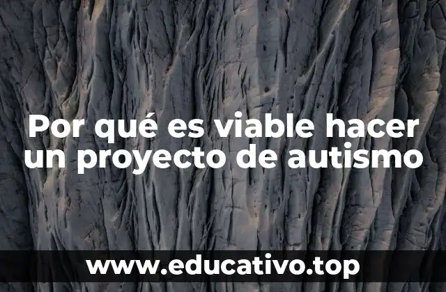 Por qué es viable hacer un proyecto de autismo