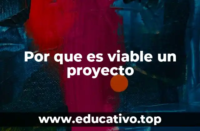 Por que es viable un proyecto