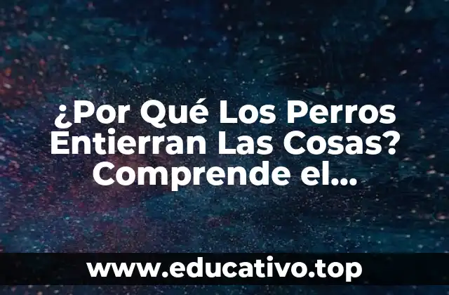 ¿Por Qué Los Perros Entierran Las Cosas? Comprende el Comportamiento Canino