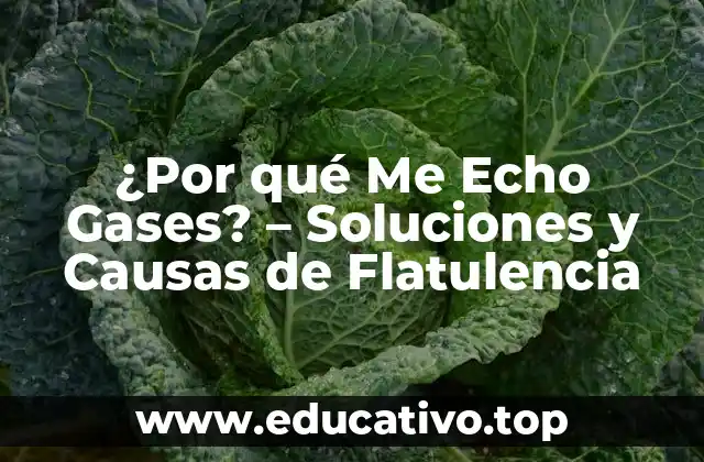 ¿Por qué Me Echo Gases? – Soluciones y Causas de Flatulencia