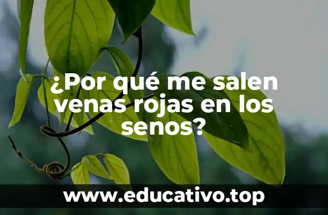 ¿Por qué me salen venas rojas en los senos?