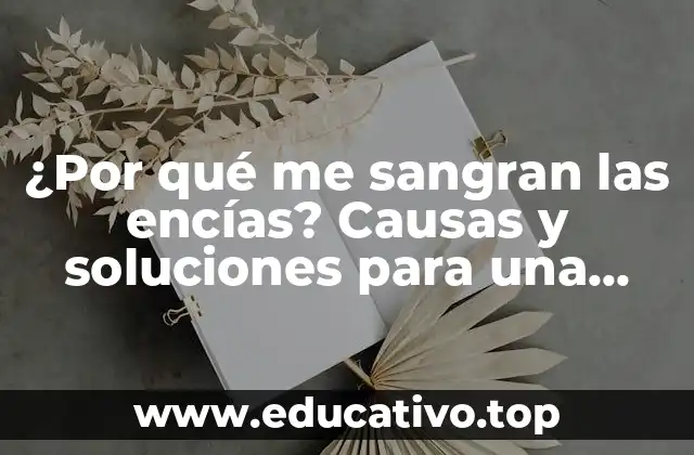 ¿Por qué me sangran las encías? Causas y soluciones para una salud oral óptima