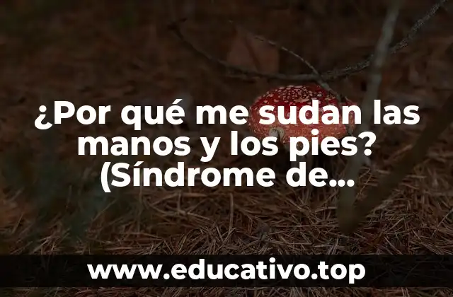 ¿Por qué me sudan las manos y los pies? (Síndrome de Hiperhidrosis)
