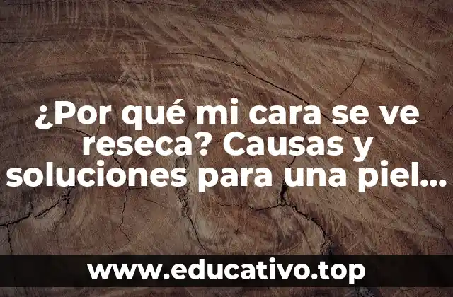 ¿Por qué mi cara se ve reseca? Causas y soluciones para una piel facial hidratada