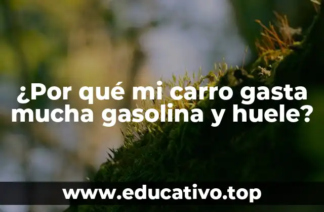 ¿Por qué mi carro gasta mucha gasolina y huele?