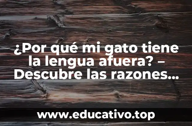 ¿Por qué mi gato tiene la lengua afuera? – Descubre las razones detrás de este comportamiento felino