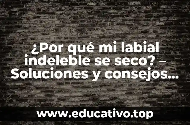 ¿Por qué mi labial indeleble se seco? – Soluciones y consejos para un labial duradero