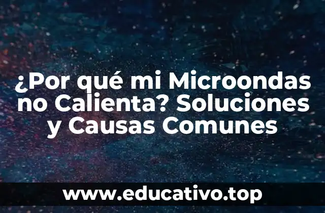 Causas Comunes por las que un Microondas no Calienta