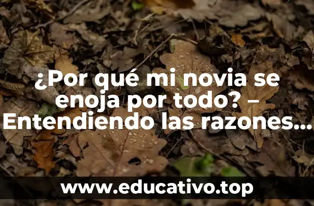 ¿Por qué mi novia se enoja por todo? – Entendiendo las razones detrás de su ira