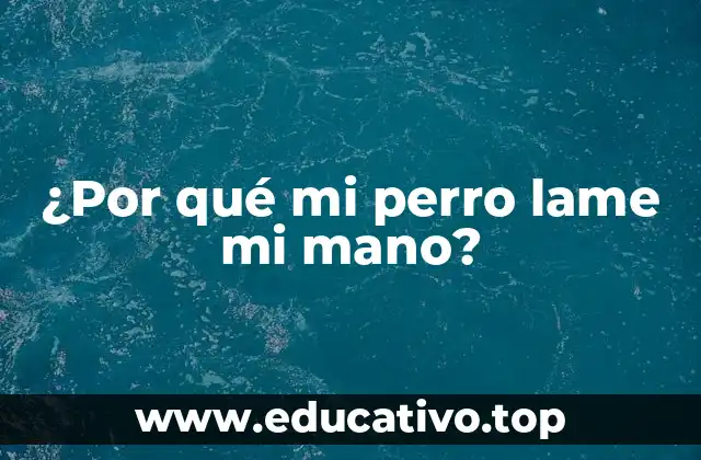 ¿Por qué mi perro lame mi mano?