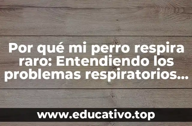 Por qué mi perro respira raro: Entendiendo los problemas respiratorios en caninos