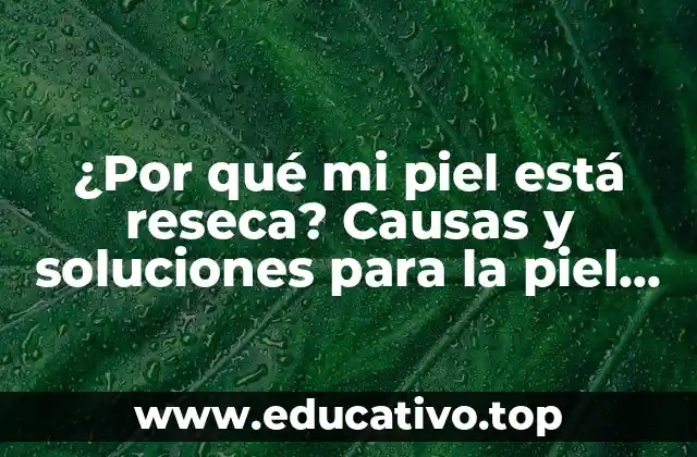 ¿Por qué mi piel está reseca? Causas y soluciones para la piel seca