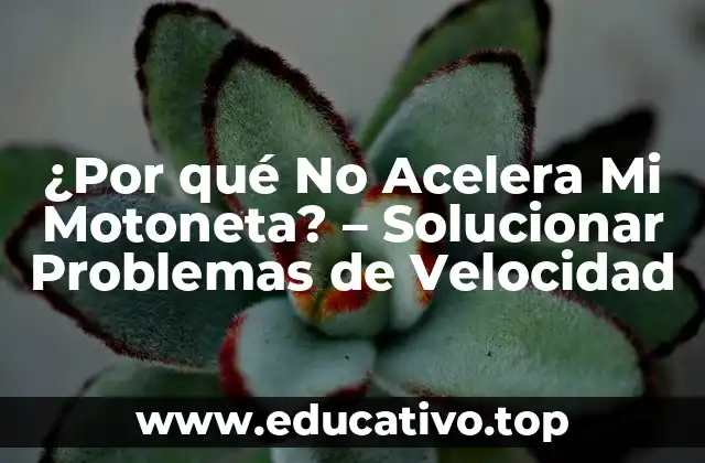 ¿Por qué No Acelera Mi Motoneta? – Solucionar Problemas de Velocidad