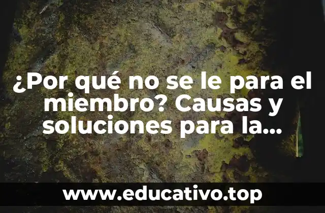 ¿Por qué no se le para el miembro? Causas y soluciones para la disfunción eréctil