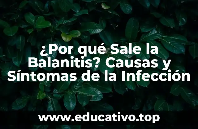 ¿Por qué Sale la Balanitis? Causas y Síntomas de la Infección
