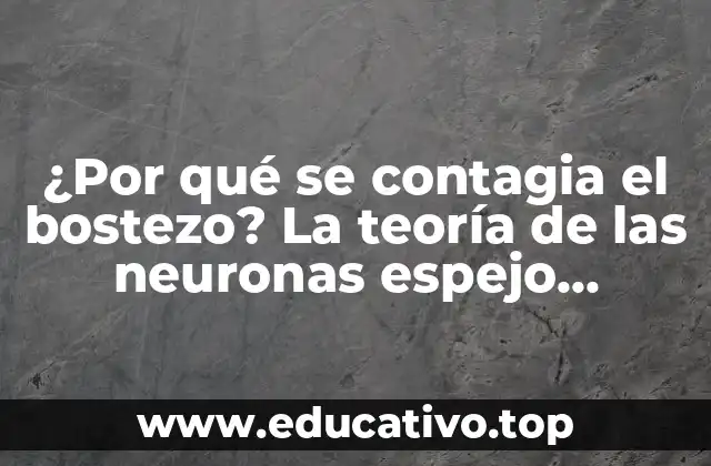 ¿Por qué se contagia el bostezo? La teoría de las neuronas espejo explicada