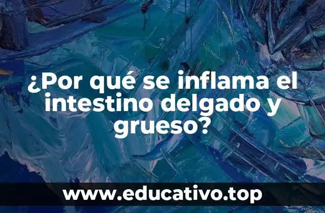 ¿Por qué se inflama el intestino delgado y grueso?