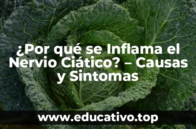 ¿Por qué se Inflama el Nervio Ciático? – Causas y Sintomas