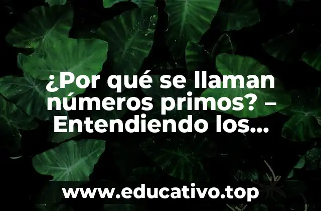 ¿Por qué se llaman números primos? – Entendiendo los números fundamentales