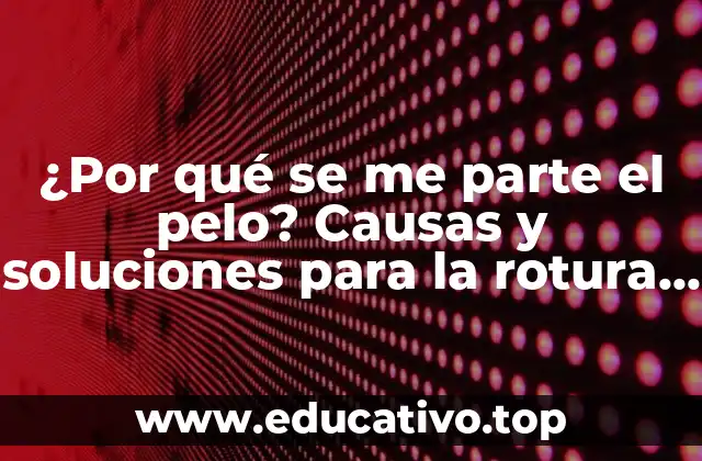 ¿Por qué se me parte el pelo? Causas y soluciones para la rotura capilar