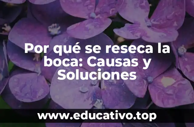 Por qué se reseca la boca: Causas y Soluciones
