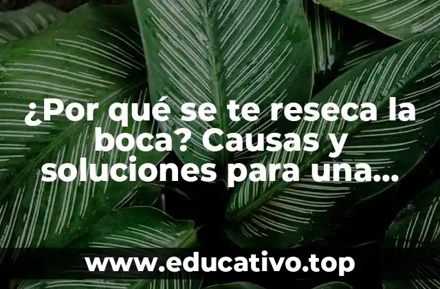 ¿Por qué se te reseca la boca? Causas y soluciones para una boca seca